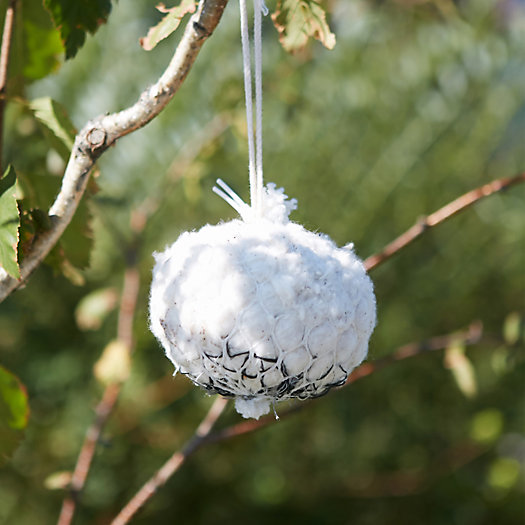 View larger image of Bird Nesting Cotton Ball
