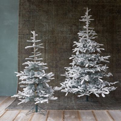 Snowy Faux Noble Fir