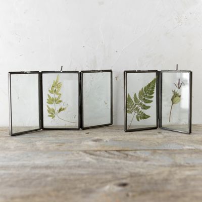 Folding Botanical Frame