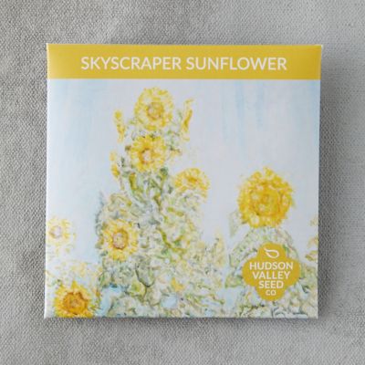 Skyscraper Sunflower Seeds