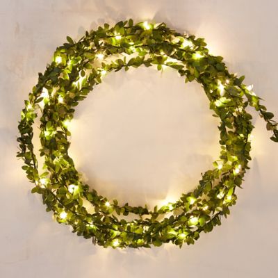 Stargazer Boxwood Lights, 15’