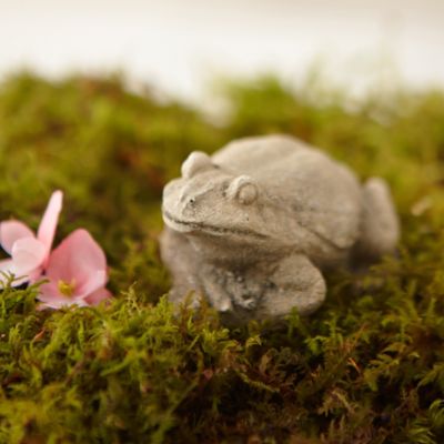 Cement Terrarium Frog