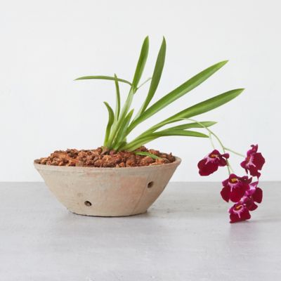 Earth Fired Clay Orchid Bowl