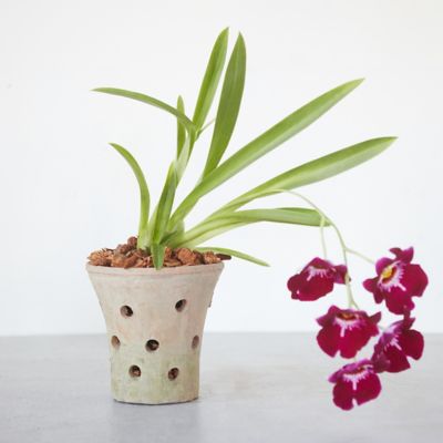 Earth Fired Clay Orchid Pot