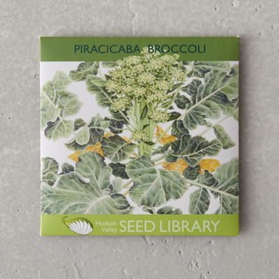 Piracicaba Broccoli Seeds