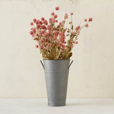 Dried Globe Amaranth Bunch