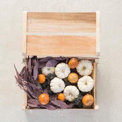 Moonlight Pumpkin & Gourd Crate