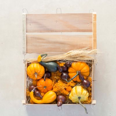 Fall Foliage Pumpkin & Gourd Crate