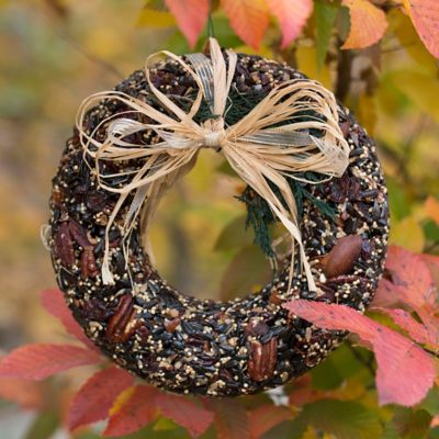 Edible Seed & Pecan Wreath