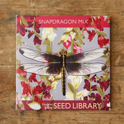 Snapdragon Mix Seeds