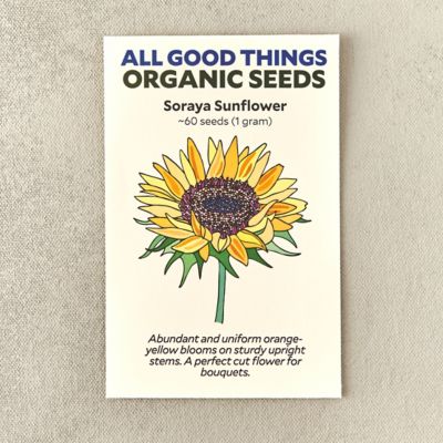 Organic Soraya Sunflower Seeds