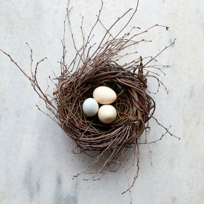 Woodland Twig Nest