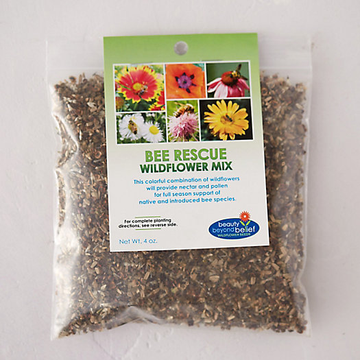 Bee Rescue Wildflower Seed Mix | Terrain