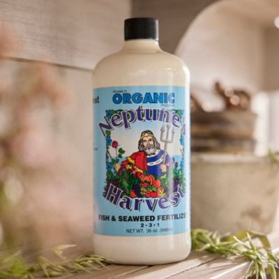 Neptune’s Harvest Organic Fish & Seaweed Fertilizer Concentrate Terrain