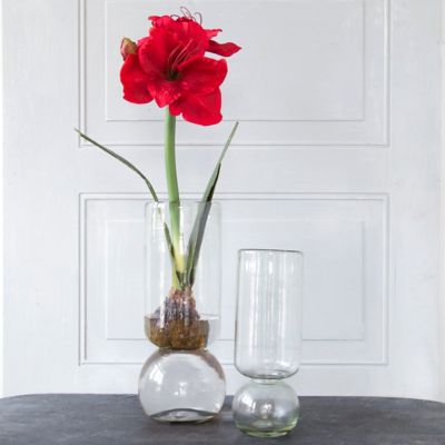 Recycled Glass Bulb Vase
