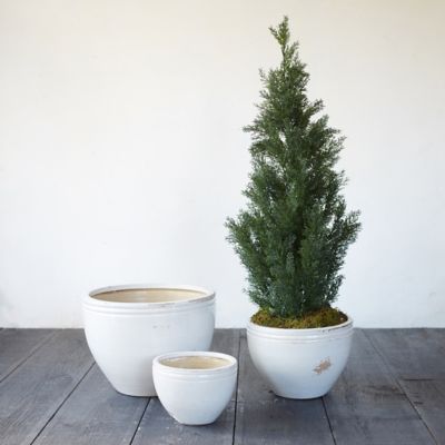 Double Band Earthenware Pot