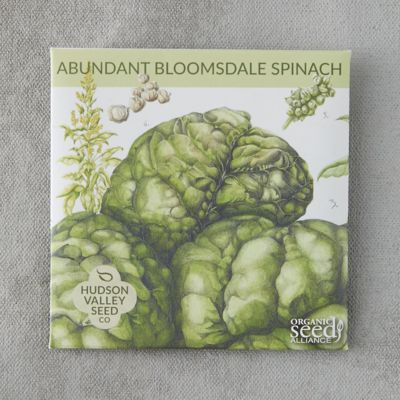 Abundant Bloomsdale Spinach Seeds
