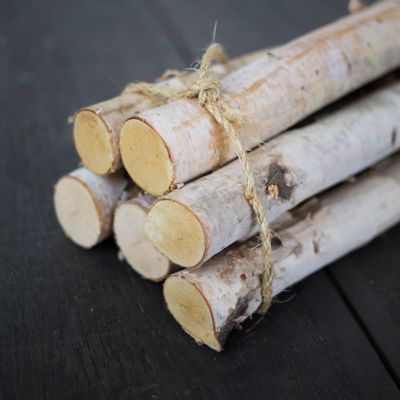 Birch-Logs Bundle