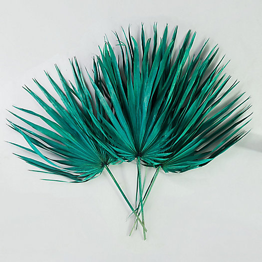 View larger image of Preserved Palmetto Frond Bunch