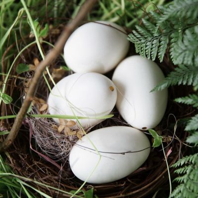 Goose Eggs, Set of 4