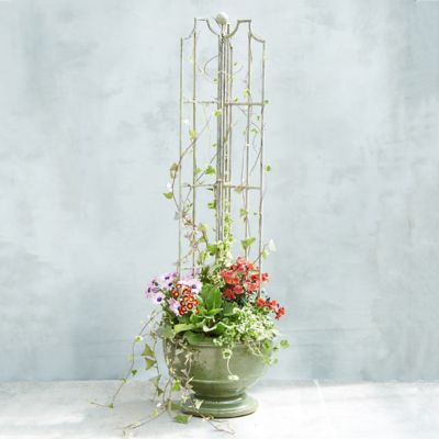 Winged Iron Trellis