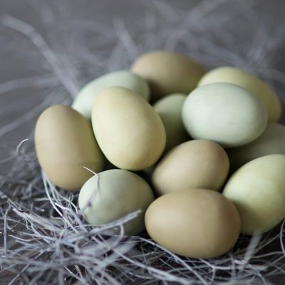 Faux Araucana Eggs, Set of 12