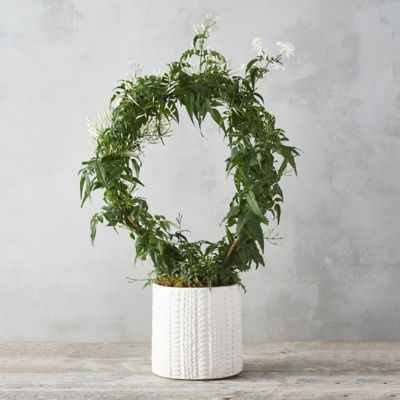 Jasmine Hoop, Sweater Pot