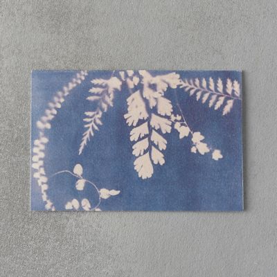 Maiden Fern Card