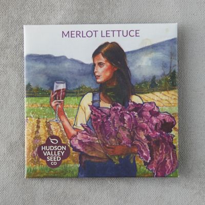 Merlot Lettuce Seeds