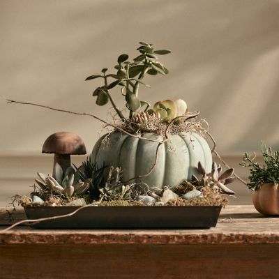 Shop the Look: A Harvest Centerpiece