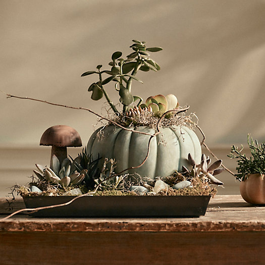 View larger image of Shop the Look: A Harvest Centerpiece