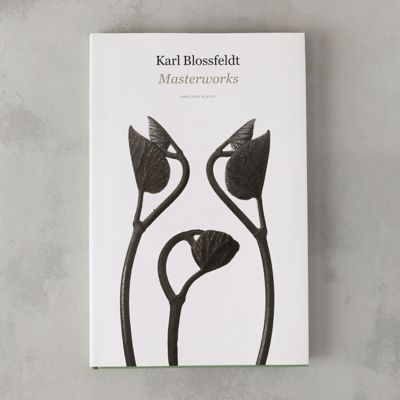 Karl Blossfeldt Masterworks