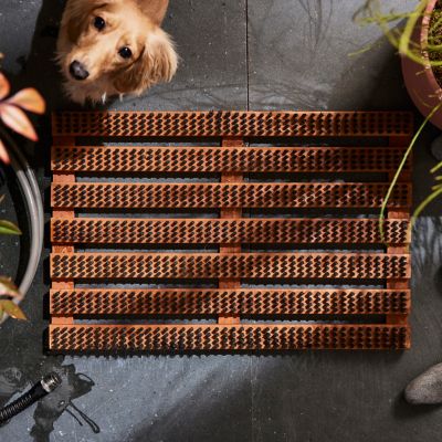 Birch Bristle Doormat Terrain