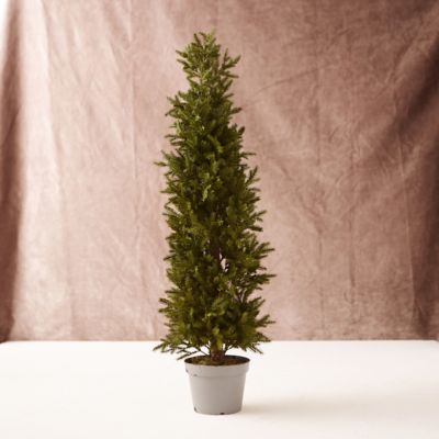 Narrow Faux Tabletop Tree