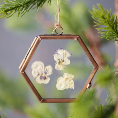 Botanical Frame Ornament, Hexagon