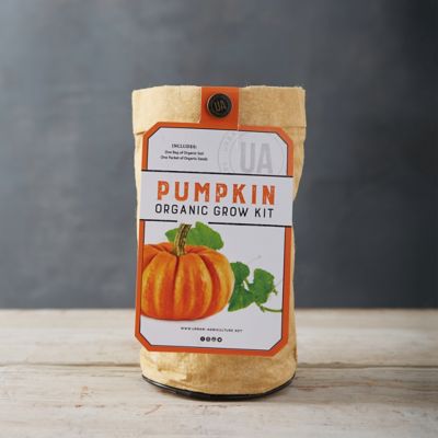 Urban Agriculture Co. Pumpkin Grow Kit