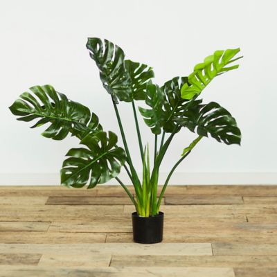 Faux Philodendron