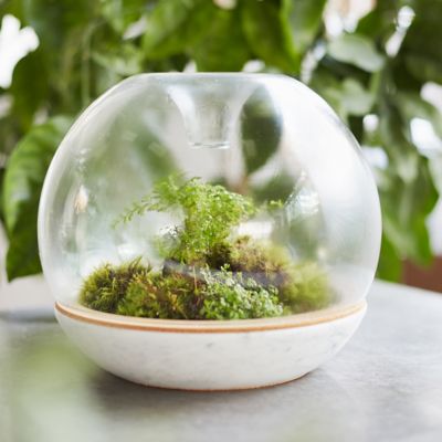 Botanica Biodome Kit