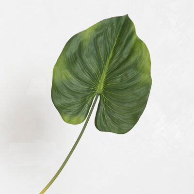 Faux Alocasia Leaf