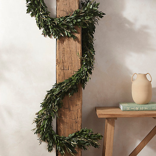 View larger image of Fresh Israeli Ruscus + Olive Leaf Garland