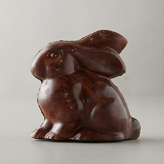 View larger image of Chocolate Bunny