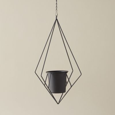 Geometric Iron Plant Hanger Terrain