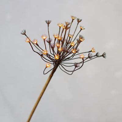 Pre-Lit LED Faux Hogweed Stem