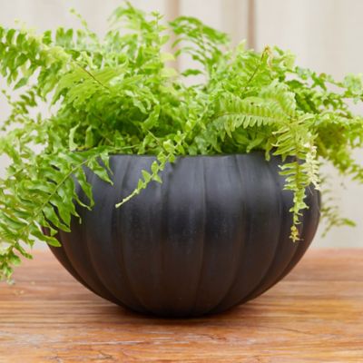 Fiber Pumpkin Bowl Planter