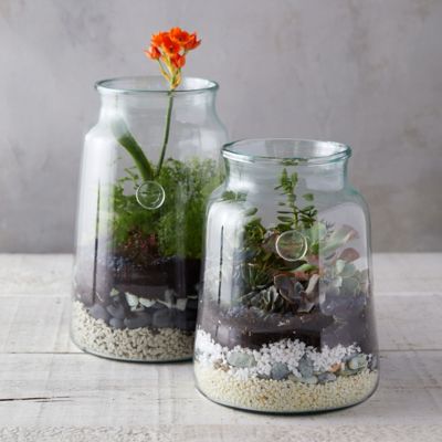 Bee Terrarium
