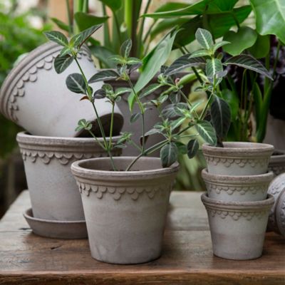 Large Outdoor Pots - Bergs Potter