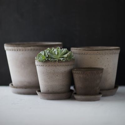 Terracotta Bergs Pot - Magnolia