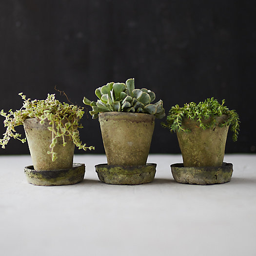 View larger image of Earth Fired Clay Herb Pot + Saucer, Set of 3