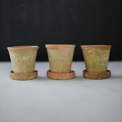 Earth Fired Clay Herb Pot + Saucer, Set of 3