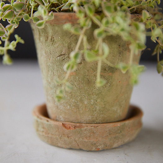 View larger image of Earth Fired Clay Herb Pot + Saucer, Set of 3
